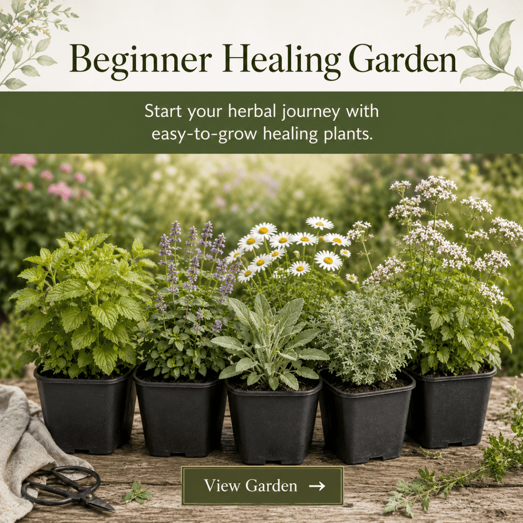 Beginner Healing Herb Garden Kit - The Healing Herb Garden