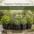 Beginner Healing Herb Garden Kit - The Healing Herb Garden