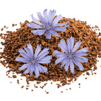 Chicory – For Versatile Sky - Blue Summer Colour - The Healing Herb Garden