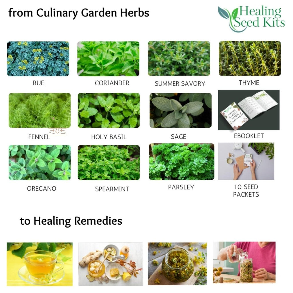Culinary Healing Garden Herbs Kit - The Healing Herb Garden