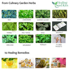 Culinary Healing Garden Herbs Kit - The Healing Herb Garden
