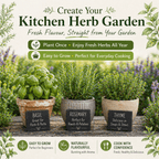 Culinary Herb Plants UK - Choose Your Own Fresh Herbs - The Healing Herb Garden