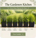 Gardener’s Kitchen Herb Collection - Essential Culinary Herbs - The Healing Herb Garden