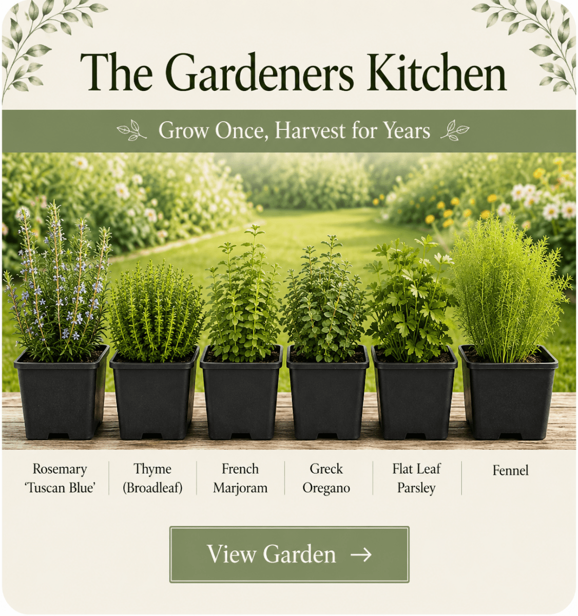 Gardener’s Kitchen Herb Collection - Essential Culinary Herbs - The Healing Herb Garden