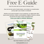 Heart Wellness Herbs Seed Kit - The Healing Herb Garden