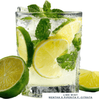 Lime Mint plug plant – Citrus - Scented Culinary Herb - The Healing Herb Garden
