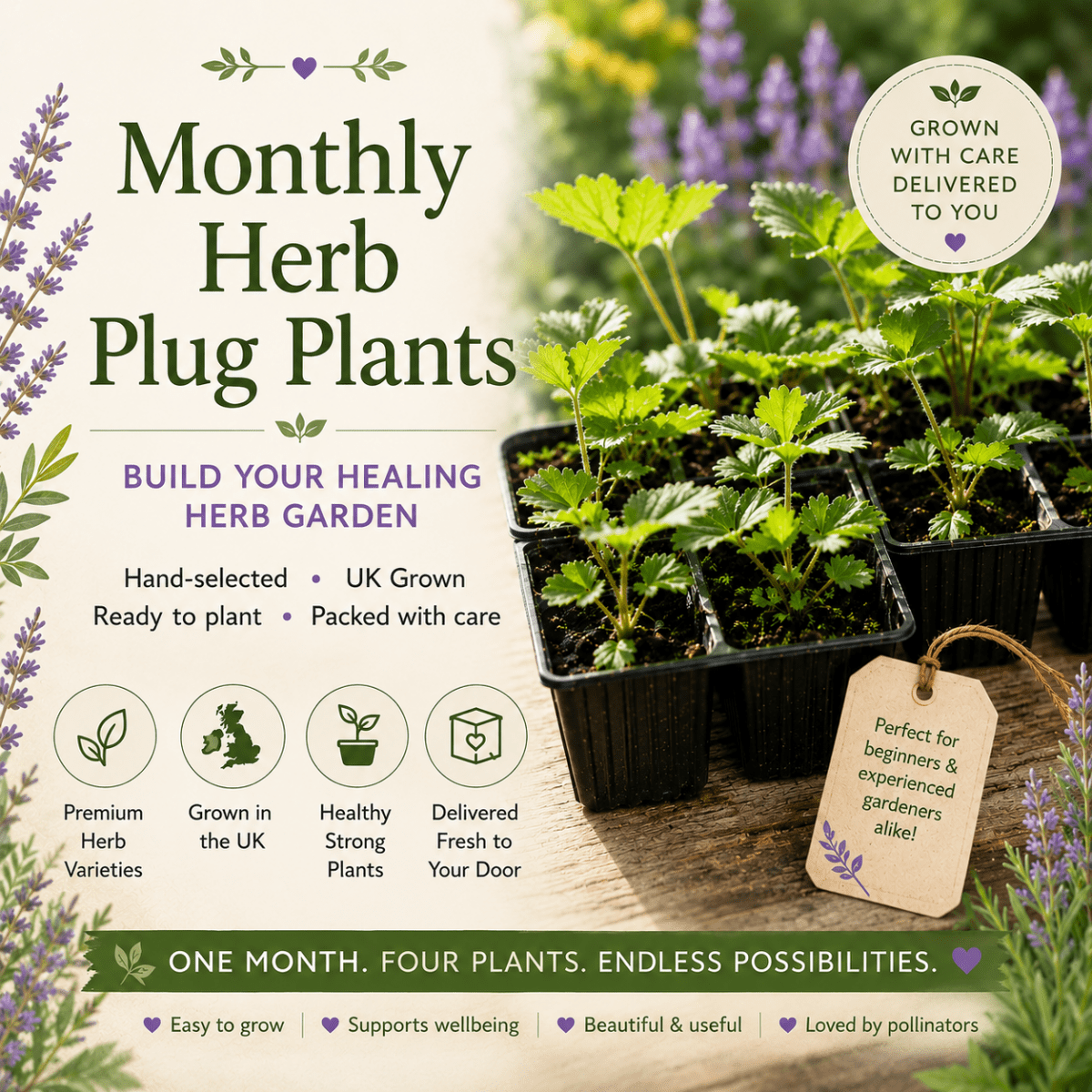 Monthly Herb Plug Plants | Build Your Healing Herb Garden - The Healing Herb Garden