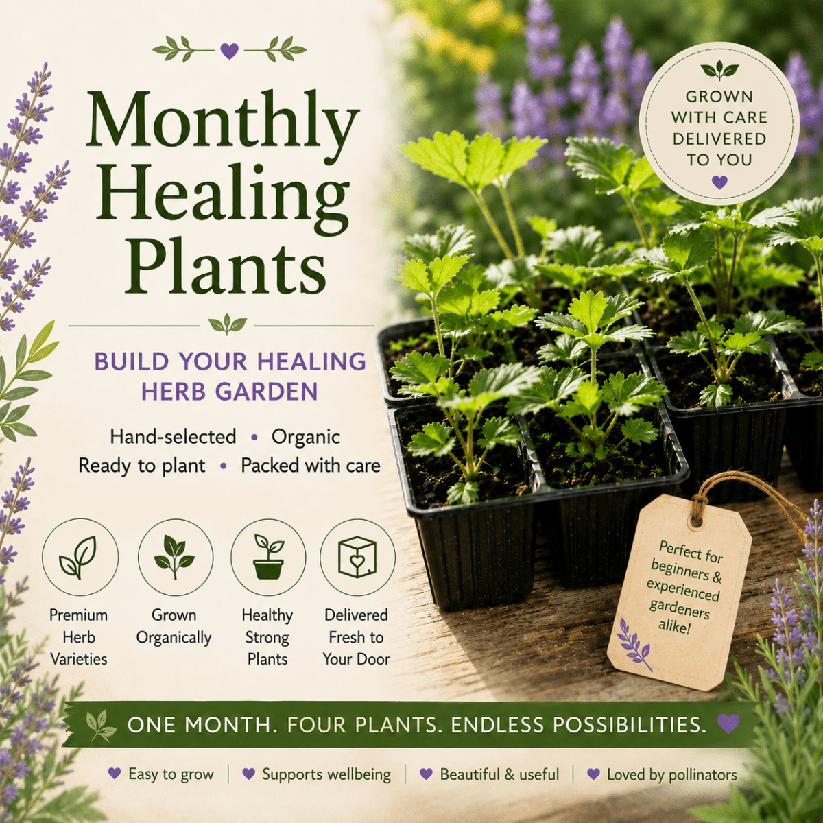 Monthly Herb Plug Plants | Build Your Healing Herb Garden - The Healing Herb Garden