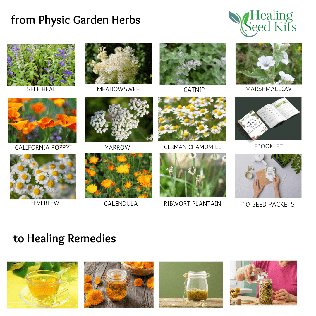 Physic Garden Herb Seed Kit - The Healing Herb Garden