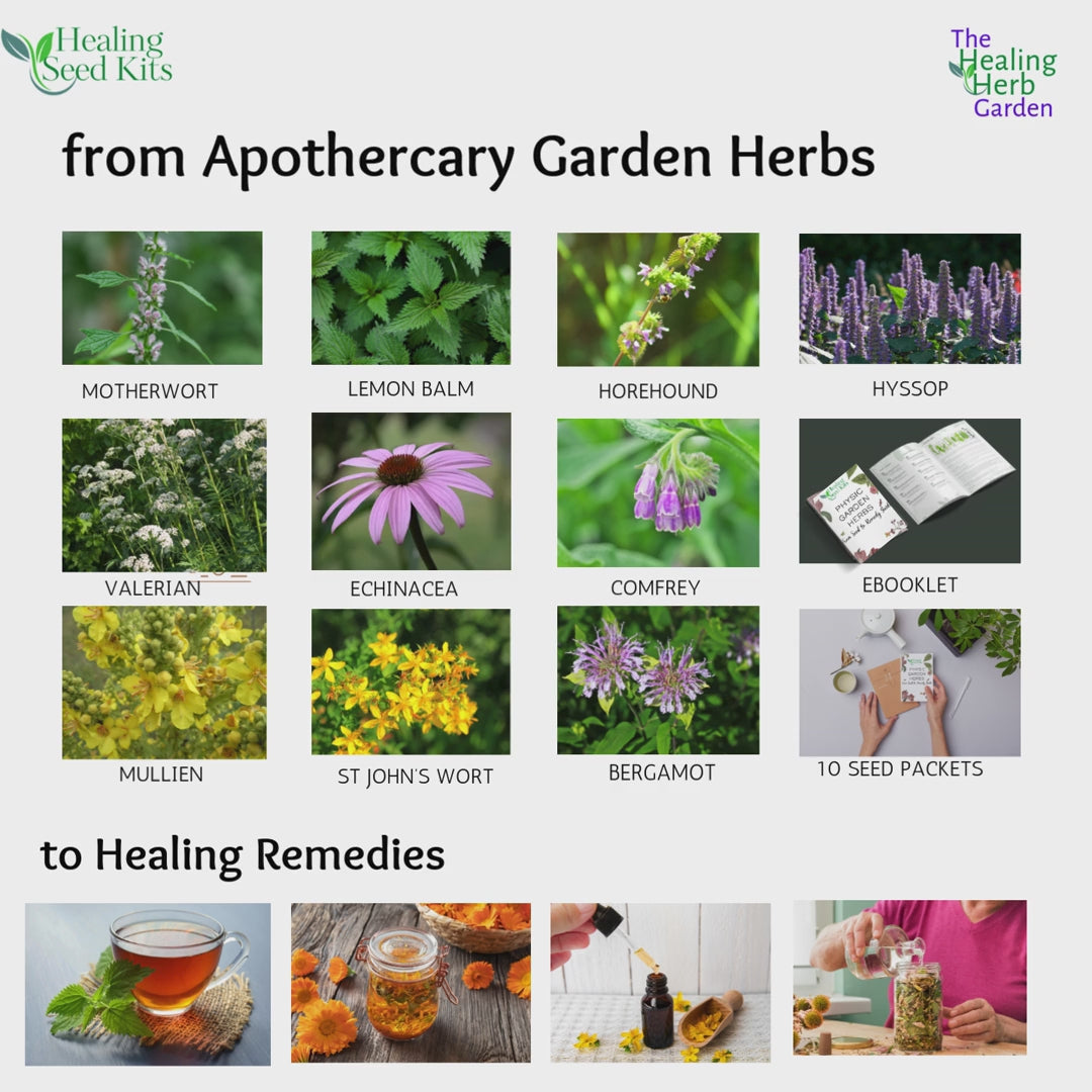Apothecary Garden Herb Seeds