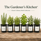 The Gardener's Kitchen™ – Classic Culinary Herb Collection - The Healing Herb Garden
