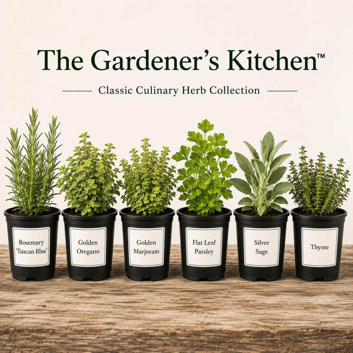 The Gardener's Kitchen™ – Classic Culinary Herb Collection - The Healing Herb Garden