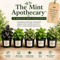 The Mint Apothecary™ - The Healing Herb Garden