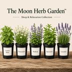 The Moon Herb Garden - The Healing Herb Garden
