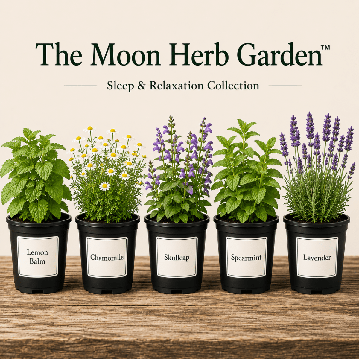 The Moon Herb Garden - The Healing Herb Garden