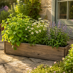 The Moon Herb Garden -Sleep & Relaxation Herb Trio - The Healing Herb Garden
