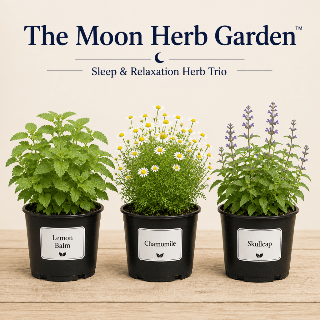 The Moon Herb Garden -Sleep & Relaxation Herb Trio - The Healing Herb Garden