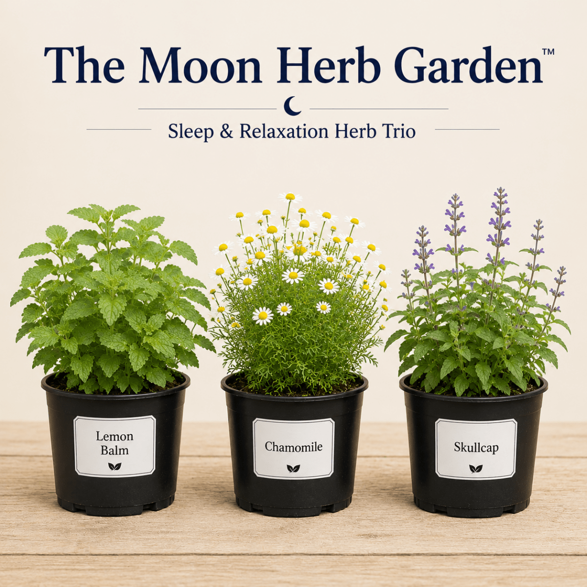 The Moon Herb Garden -Sleep & Relaxation Herb Trio - The Healing Herb Garden