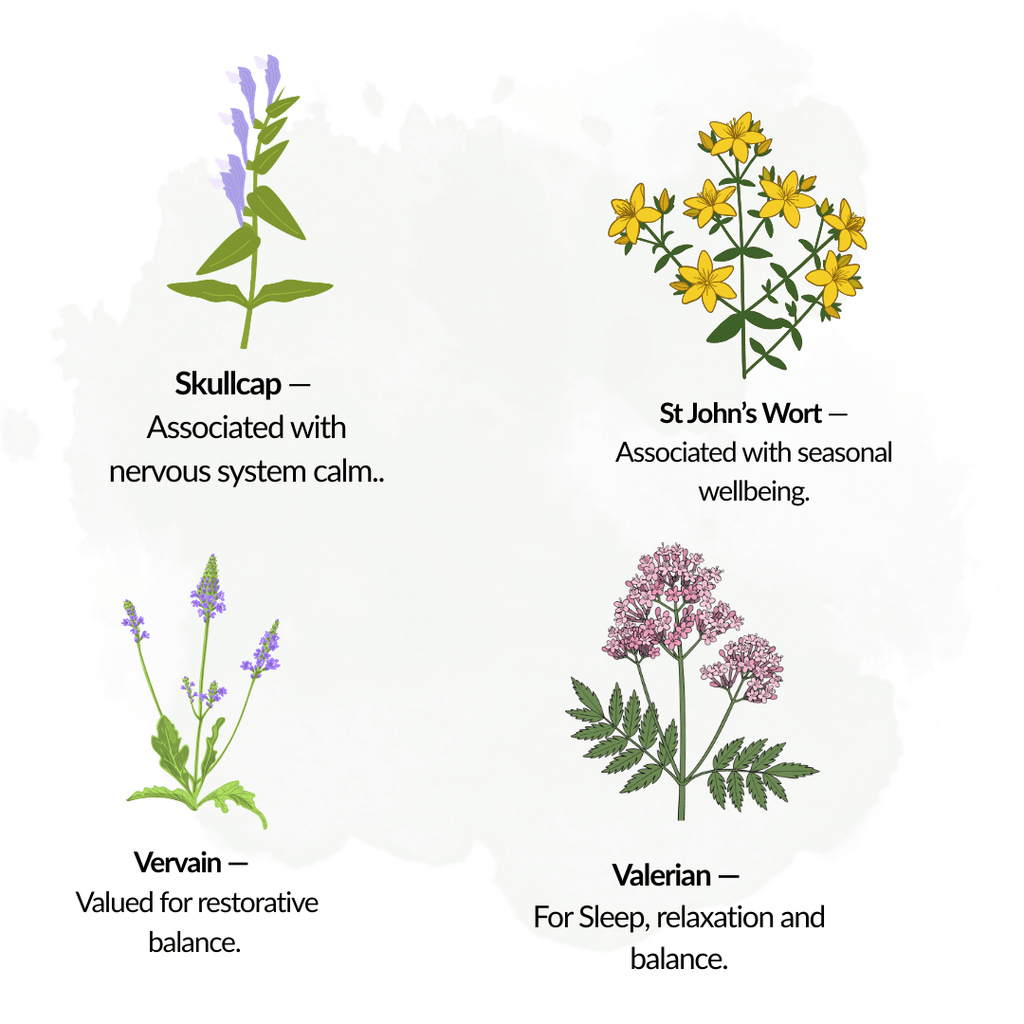 The Relax & Sleep Collection – Plant Kit - The Healing Herb Garden