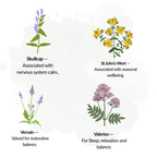 The Relax & Sleep Collection – Plant Kit - The Healing Herb Garden