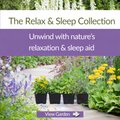The Relax & Sleep Collection – Plant Kit - The Healing Herb Garden