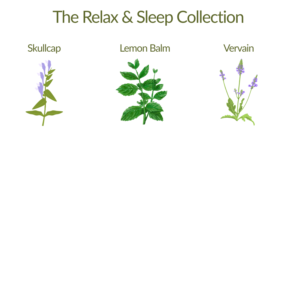 The Relax & Sleep Collection – Plant Kit - The Healing Herb Garden