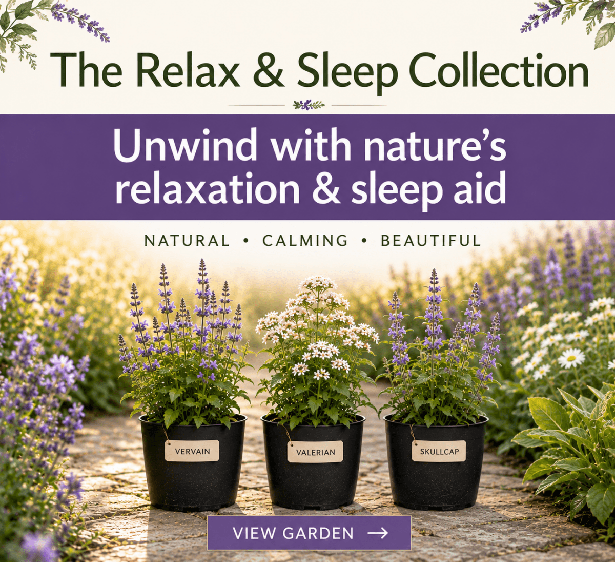 The Relax & Sleep Collection – The Moon Collection - The Healing Herb Garden