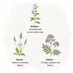 The Relax & Sleep Collection – The Moon Collection - The Healing Herb Garden