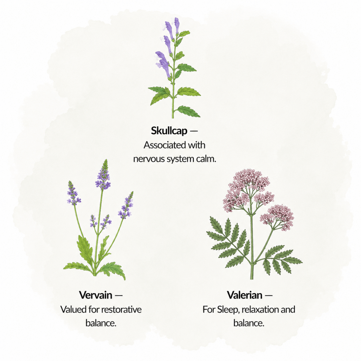 The Relax & Sleep Collection – The Moon Collection - The Healing Herb Garden