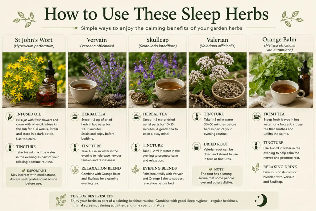 The Relax & Sleep Collection – The Moon Collection - The Healing Herb Garden