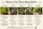 The Relax & Sleep Collection – The Moon Collection - The Healing Herb Garden