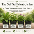The Self - Sufficient Garden - Grow your - The Healing Herb Garden