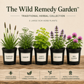 The Wild Remedy Garden - The Healing Herb Garden