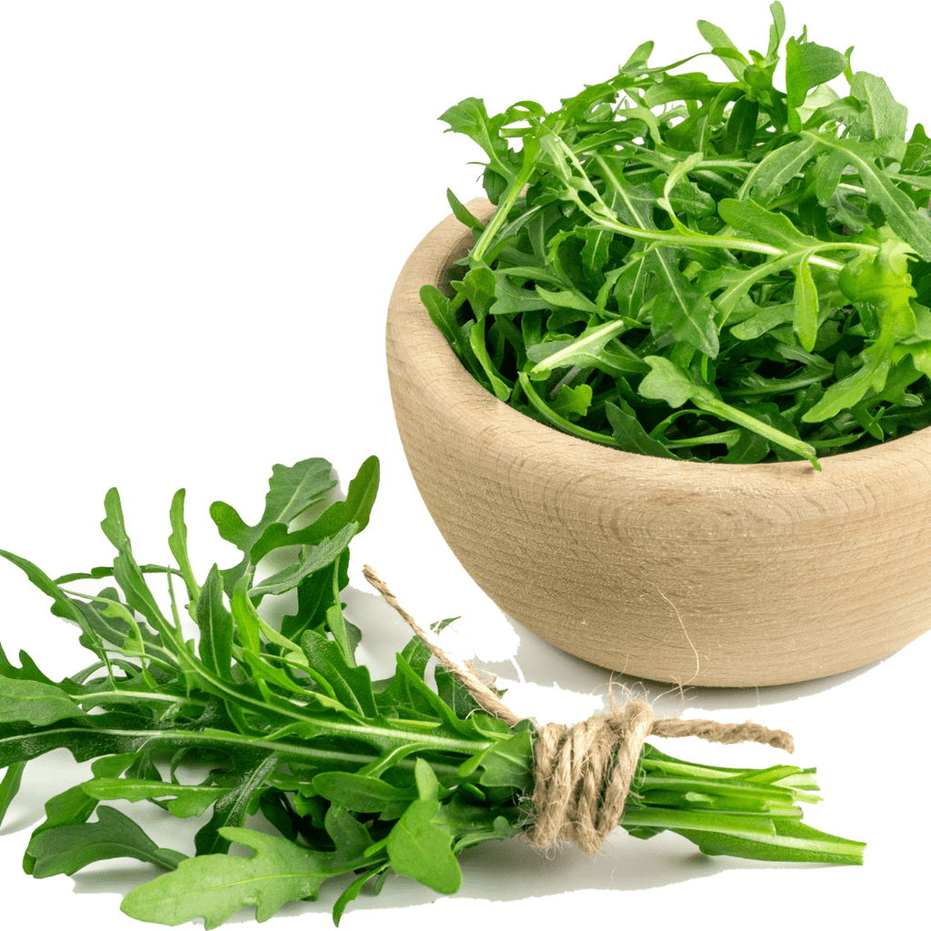 Wild Rocket Plant – Peppery Salad herb - The Healing Herb Garden