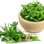 Wild Rocket Plant – Peppery Salad herb - The Healing Herb Garden