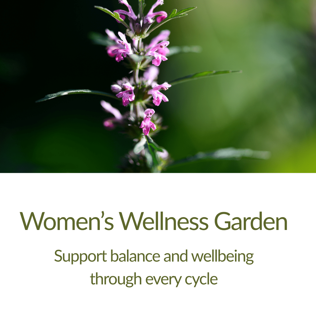 Women’s Wellness Garden – Herb Plant Kit - The Healing Herb Garden
