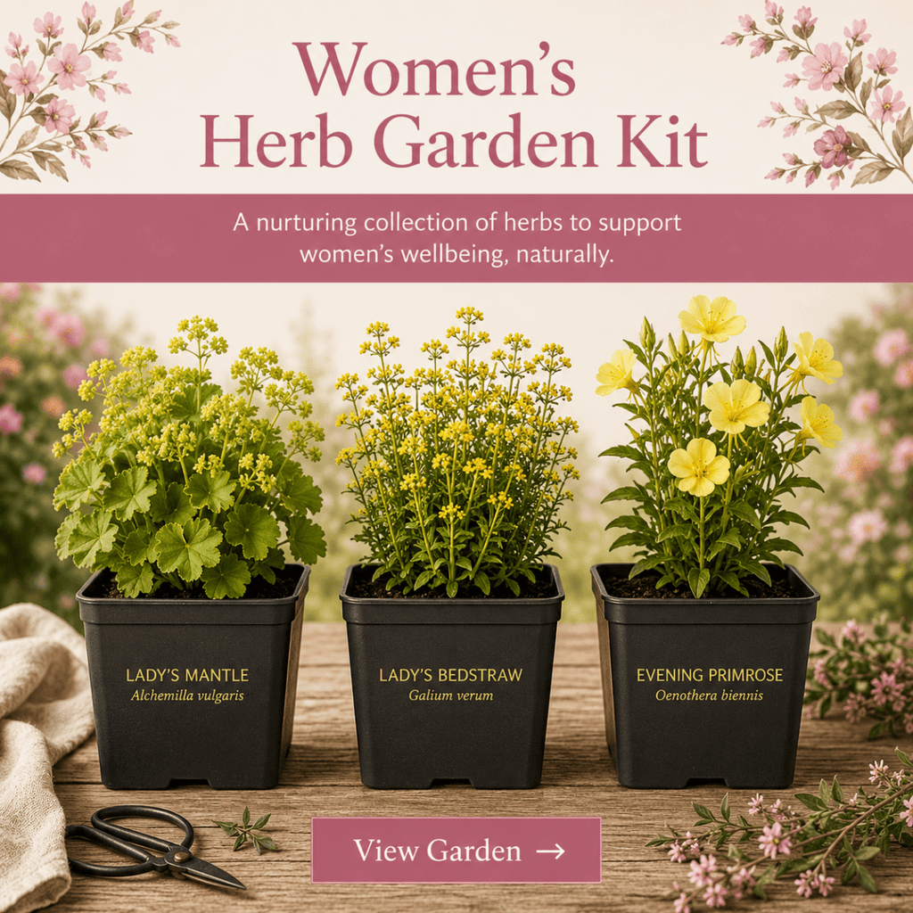 Women’s Wellness Garden – Herb Plant Kit - The Healing Herb Garden