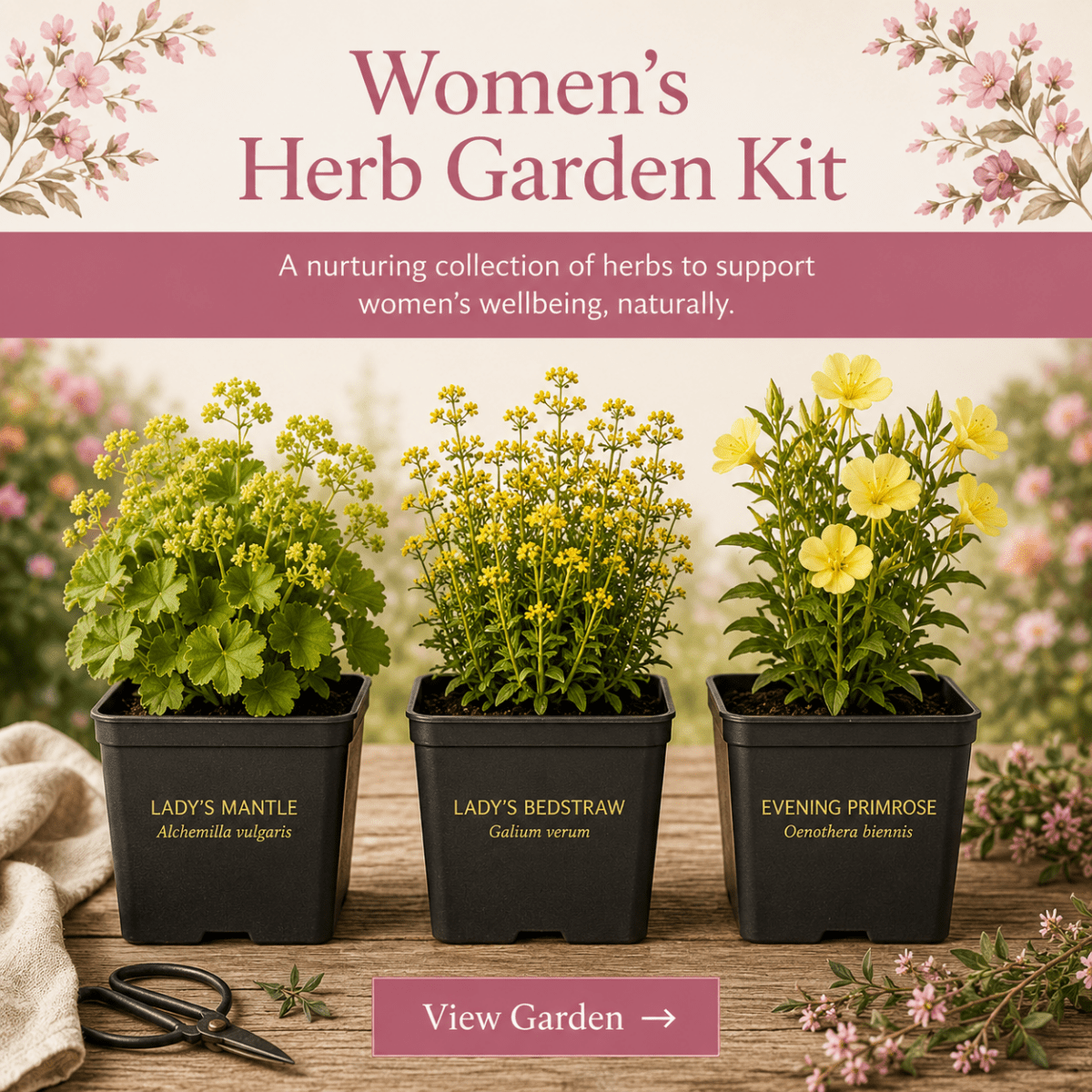 Women’s Wellness Garden – Herb Plant Kit - The Healing Herb Garden